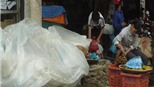 “Lập lờ” đá sạch, nước “tinh khiết”